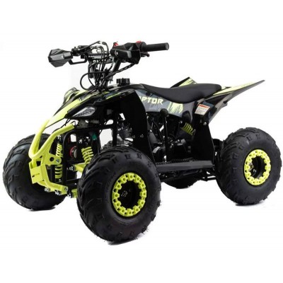 Квадроцикл Motoland ATV 110 RAPTOR — детский бензиновый, 7 л.с., автомат с реверсом