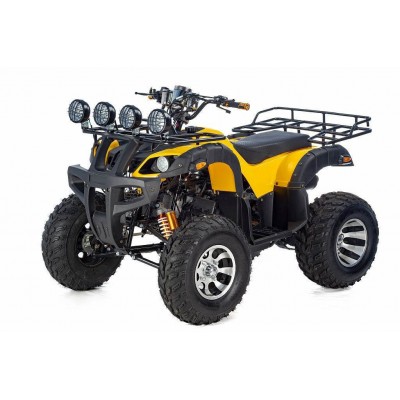 Квадроцикл RAPTOR MAX PRO 250 — жёлто-чёрный, 19 л.с., автомат, 250 см³