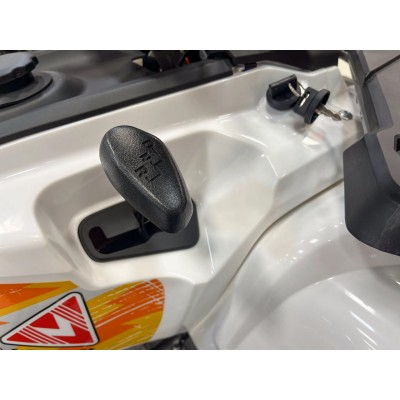 Квадроцикл MOTAX GRIZLIK 200 ULTRA BIG — бензиновый, 200 см³, 16.9 л.с., автомат, задний привод