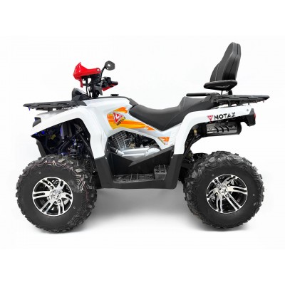 Квадроцикл MOTAX GRIZLIK 200 ULTRA BIG — бензиновый, 200 см³, 16.9 л.с., автомат, задний привод