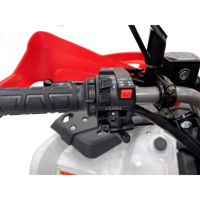 Квадроцикл MOTAX GRIZLIK 200 ULTRA BIG — бензиновый, 200 см³, 16.9 л.с., автомат, задний привод